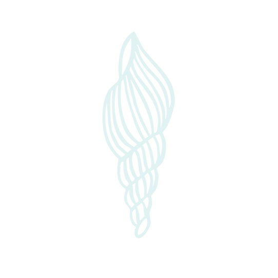 SHELL 2