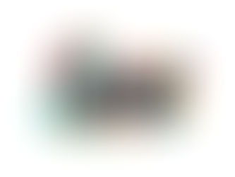 Procedure to obtain the Payment and E-Money license in Cyprus