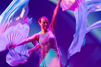 Circus | Tribes Dance Show 2025 | Leiden