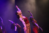 Christmas Stories | Tribes Dance Show 2023 | Leiden