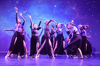 Back to School | Tribes Dance Show 2025 | Leiden