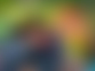 The Liberation Station Grand Opening 