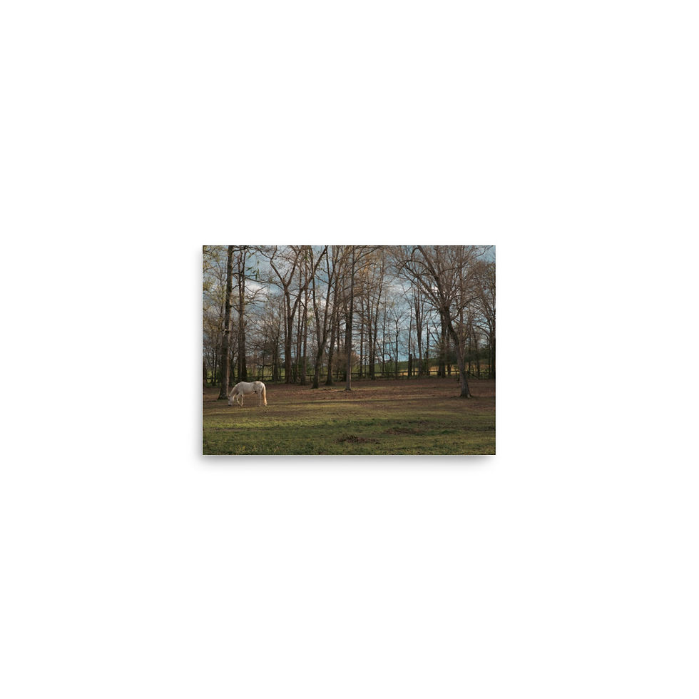 Thumbnail: Photo paper poster