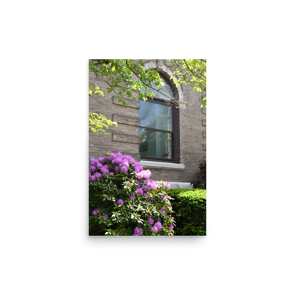 Thumbnail: Photo paper poster