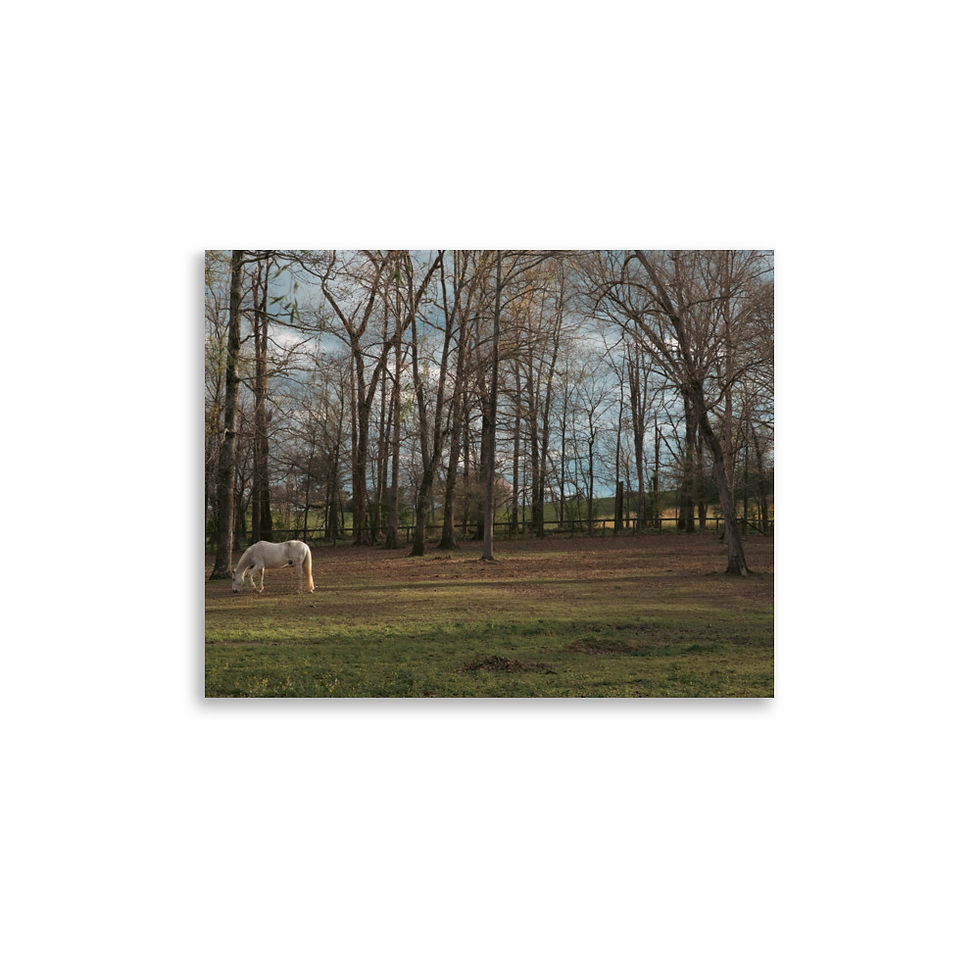 Thumbnail: Photo paper poster