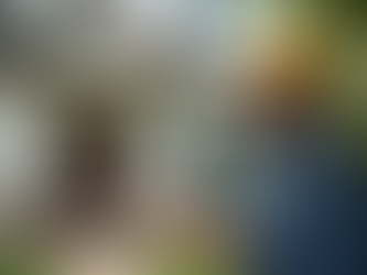 The True Cost of Home Inspections Explained