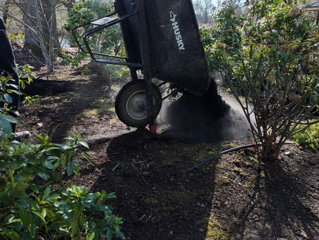 The Ultimate Guide to Bark Installation in Albany, Oregon & Salem, Oregon