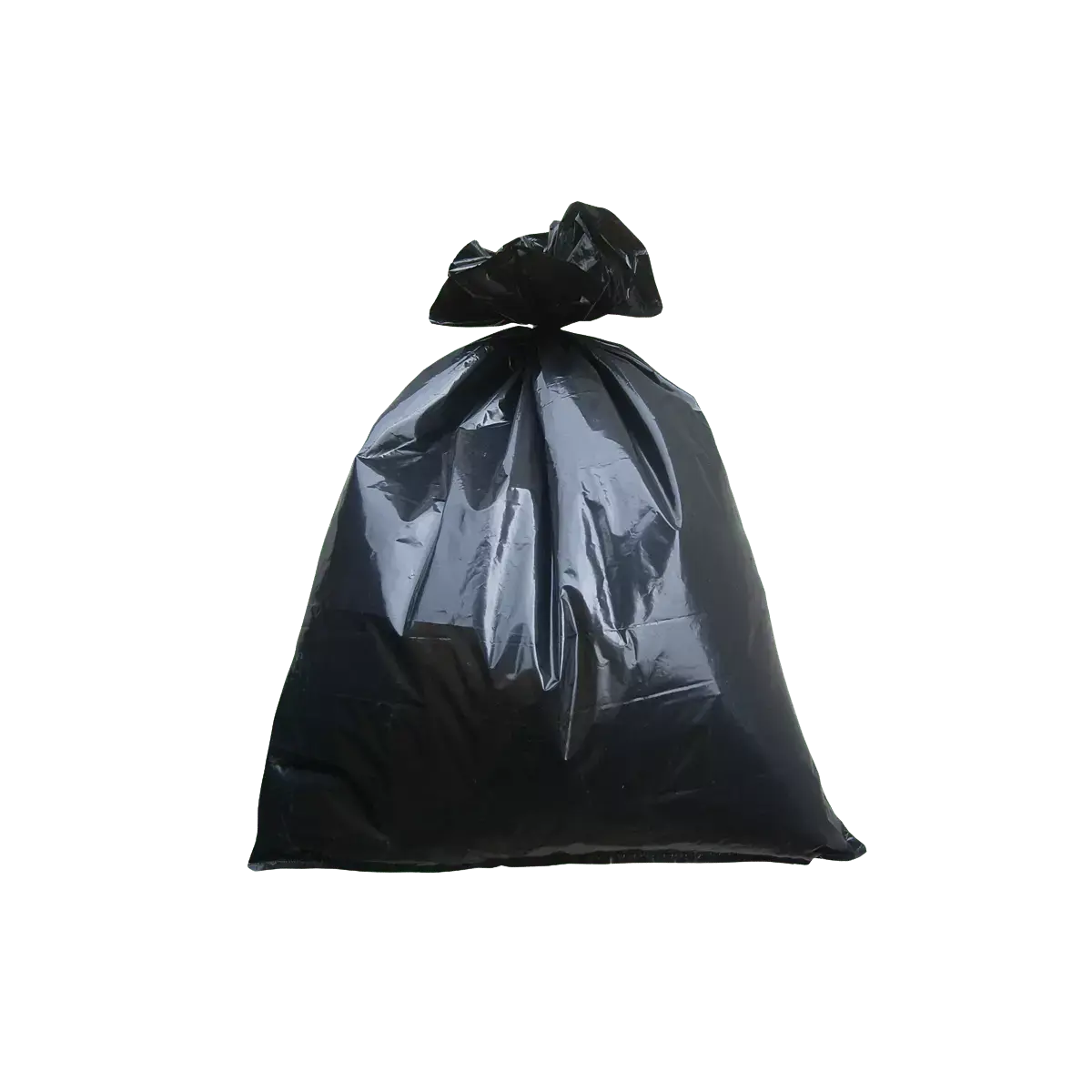 RPBI Bolsa negra