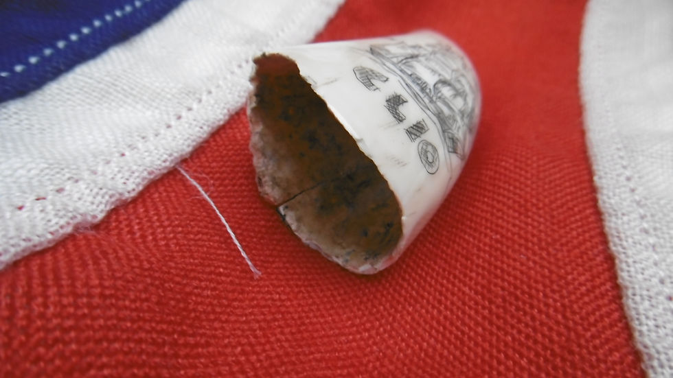 Thumbnail: No.244 - Whale tooth - CLIO