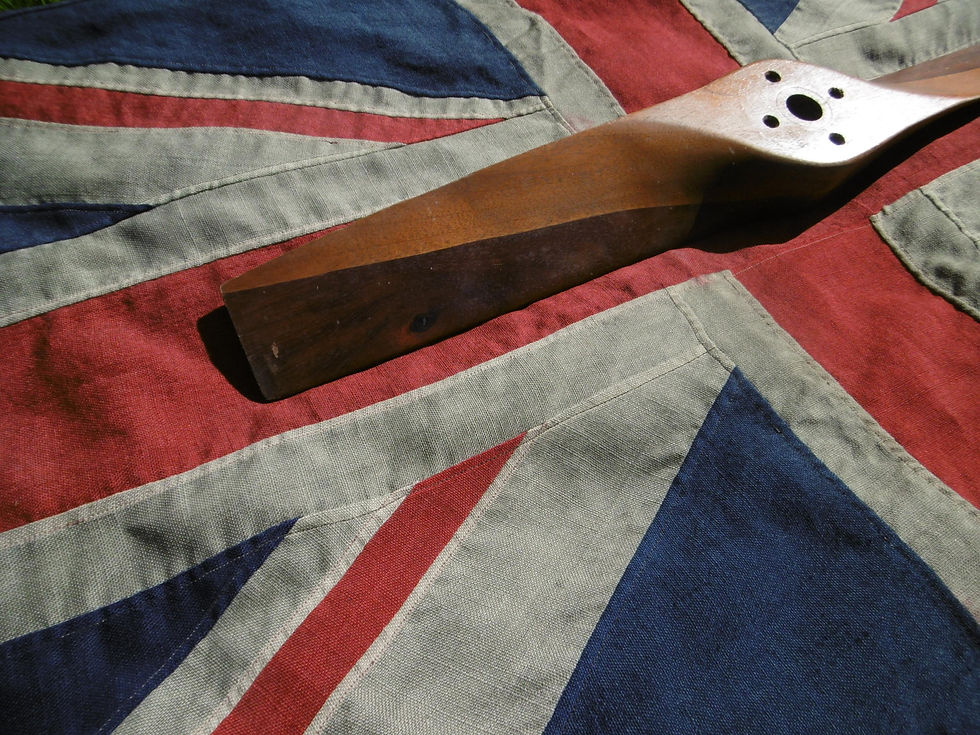 Thumbnail: Wooden aeroplane propeller