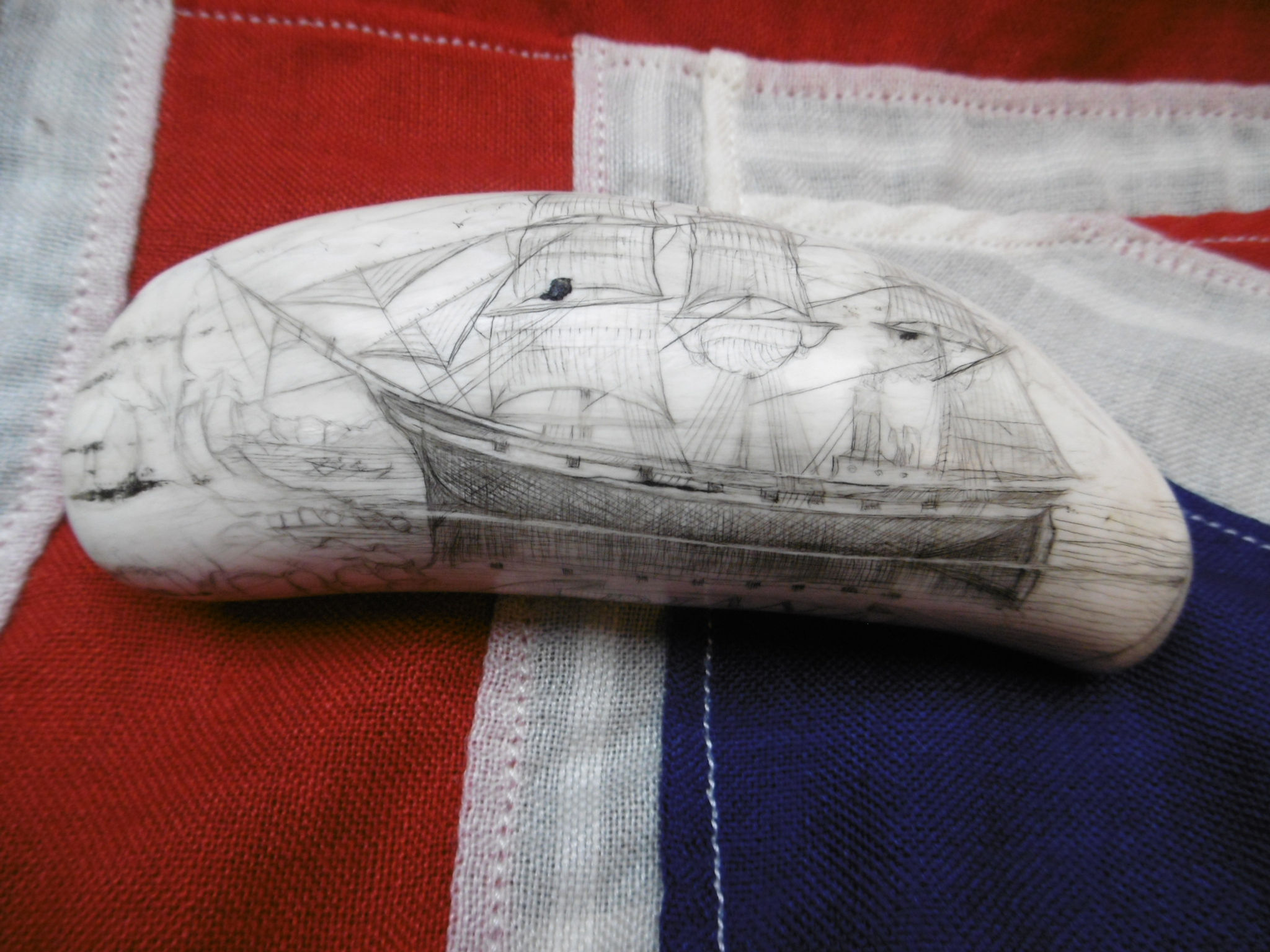 No. 501 - Ship DIANA whale tooth