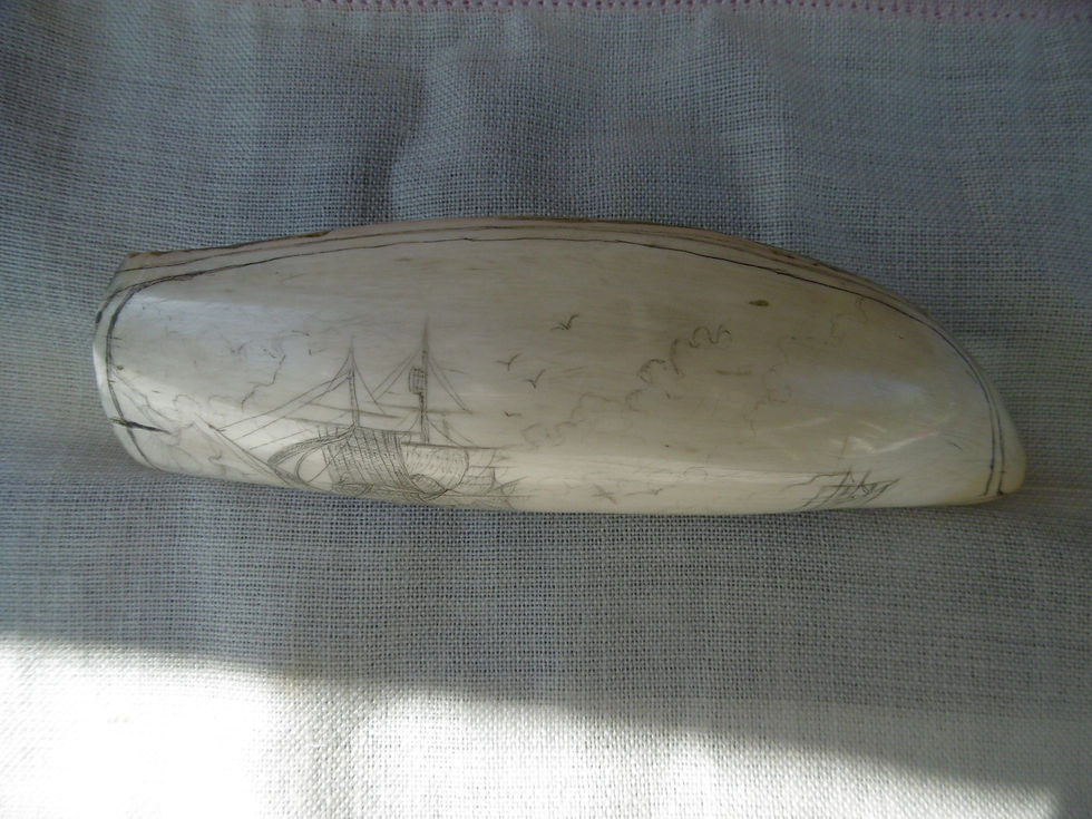 Thumbnail: No.500 - Arctic whaling scrimshaw tooth