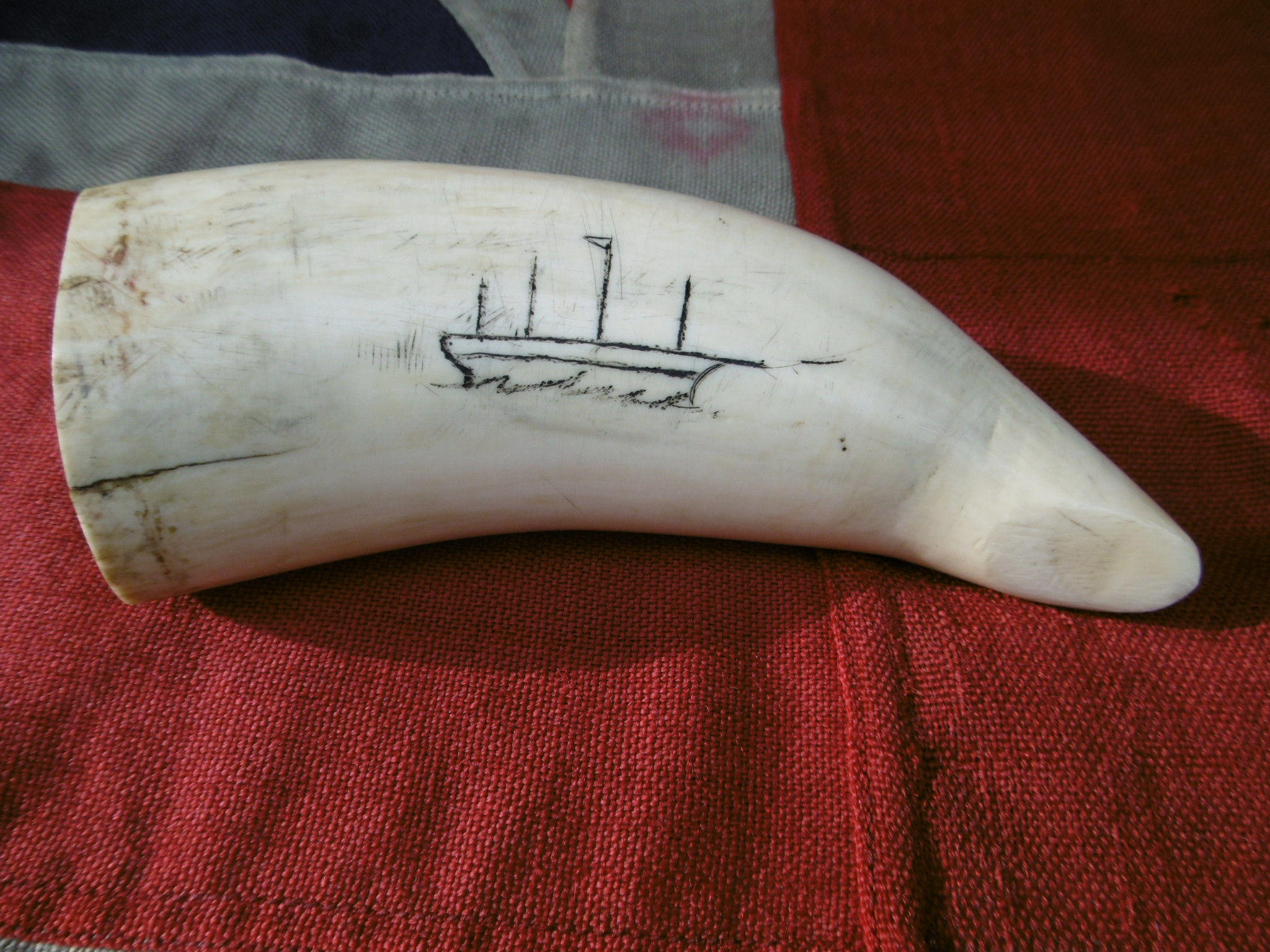 No.450 - Naive whaletooth