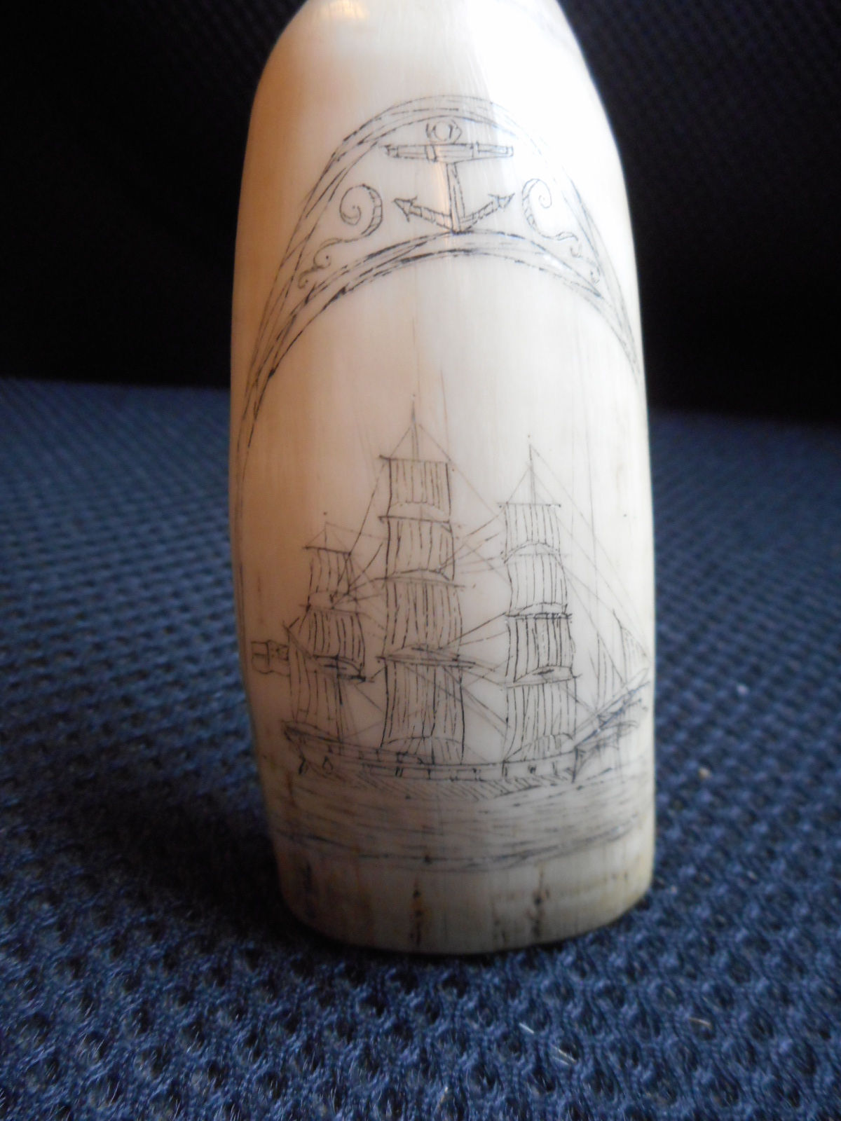 No.269 - Man of War scrimshaw