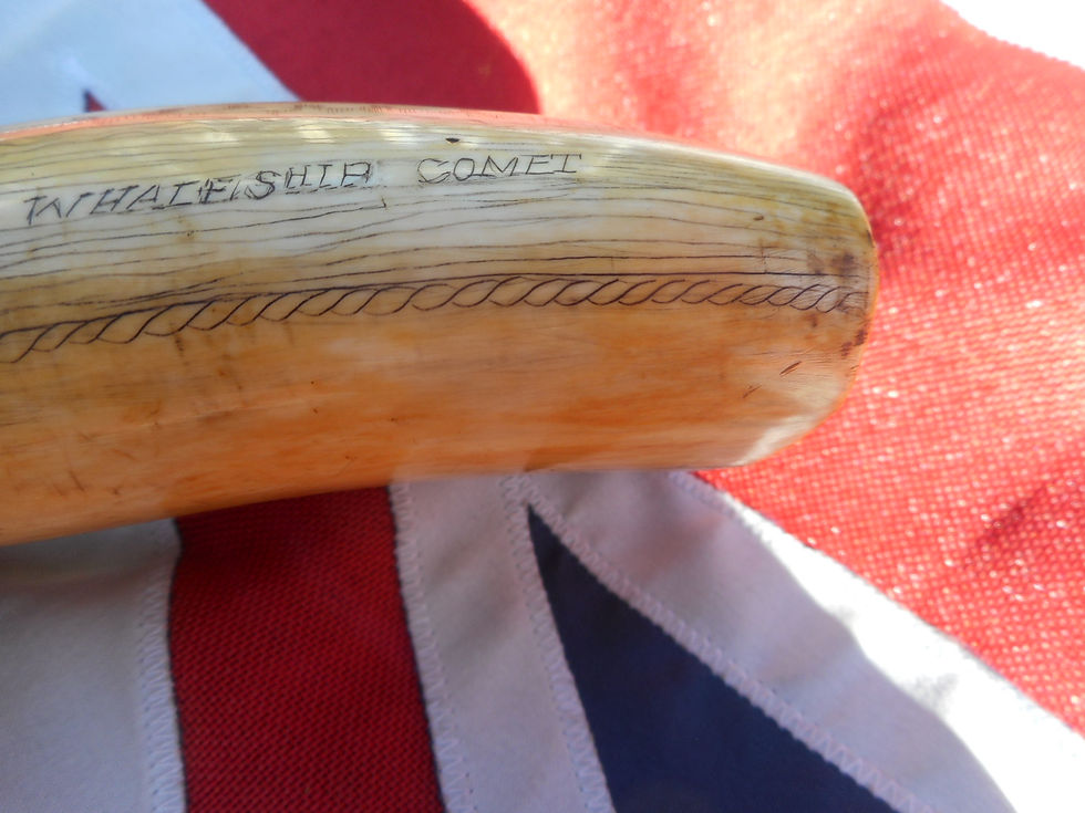 Thumbnail: No.398 - Whaletooth, Hull whaleship COMET