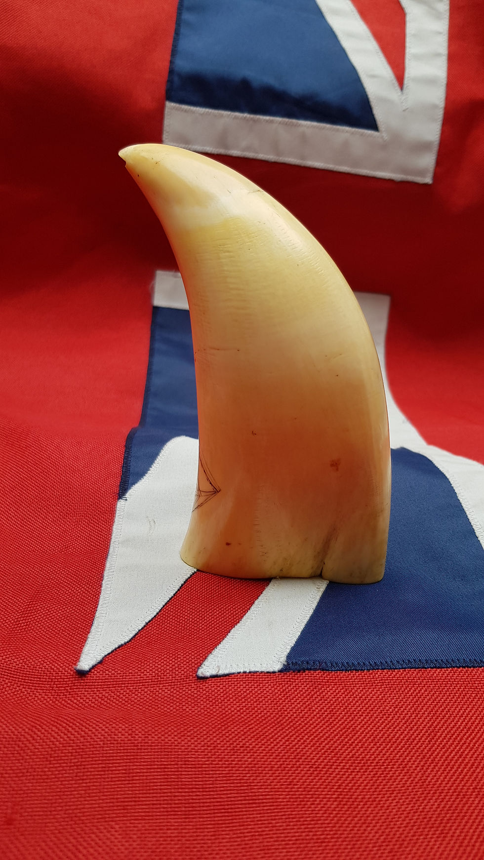 Thumbnail: No.427 - Standing whale tooth with ship