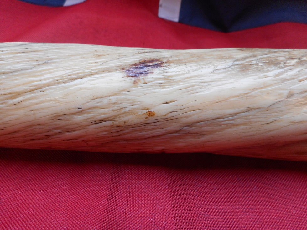 Thumbnail: Narwhal scrimshaw - The bark 'Wanderer'