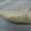Thumbnail: No.493 - Two sided large tooth
