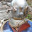 Thumbnail: Siebe Gorman 12 bolt tin on diving helmet