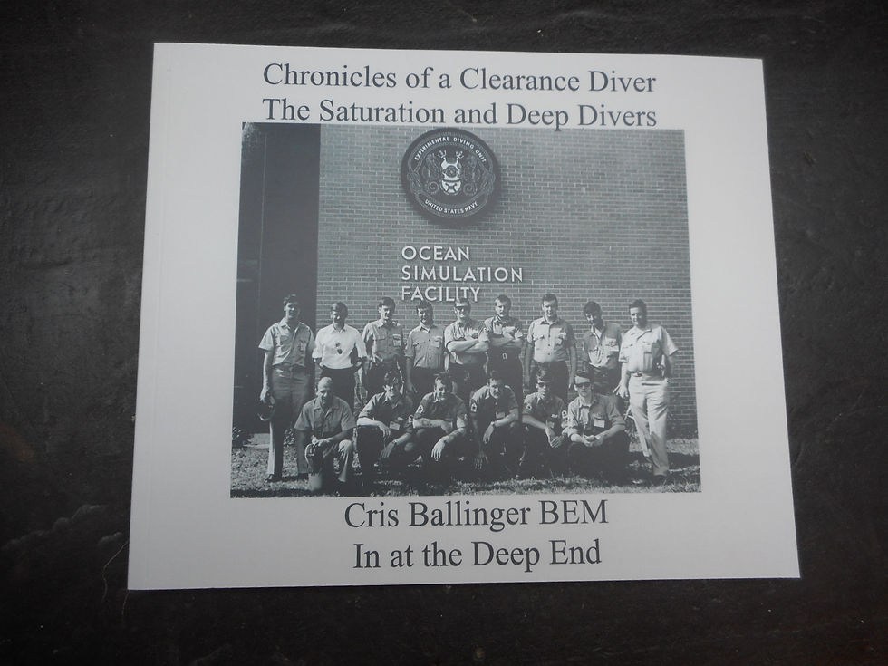 Books 6-14 of 21 books 'Chronicles of a Clearance Diver'