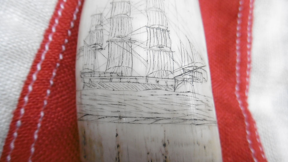 Thumbnail: No.269 - Man of War scrimshaw