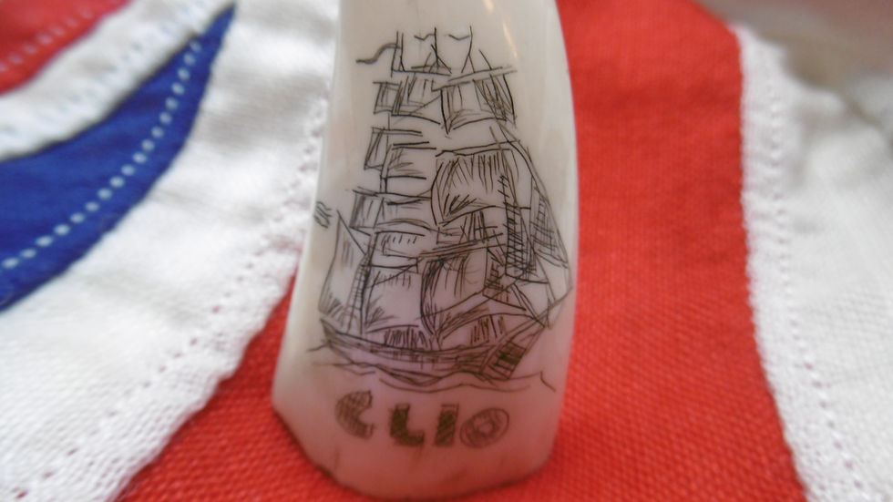 Thumbnail: No.244 - Whale tooth - CLIO