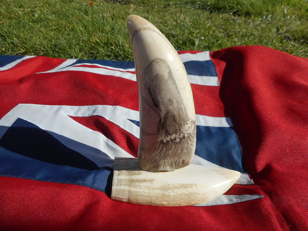 No.377 - Whaletooth - Moby Dick and penguin