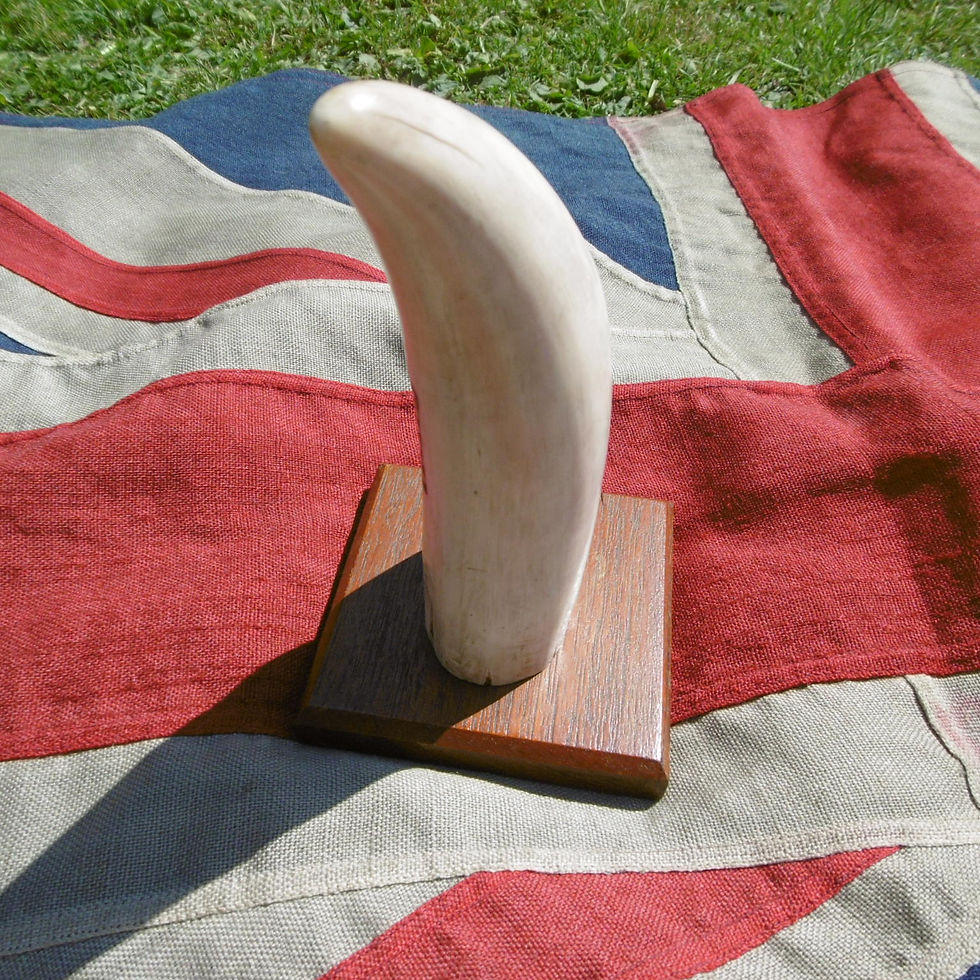 Thumbnail: No.434 - Standing Whale tooth 'LIBERTY'