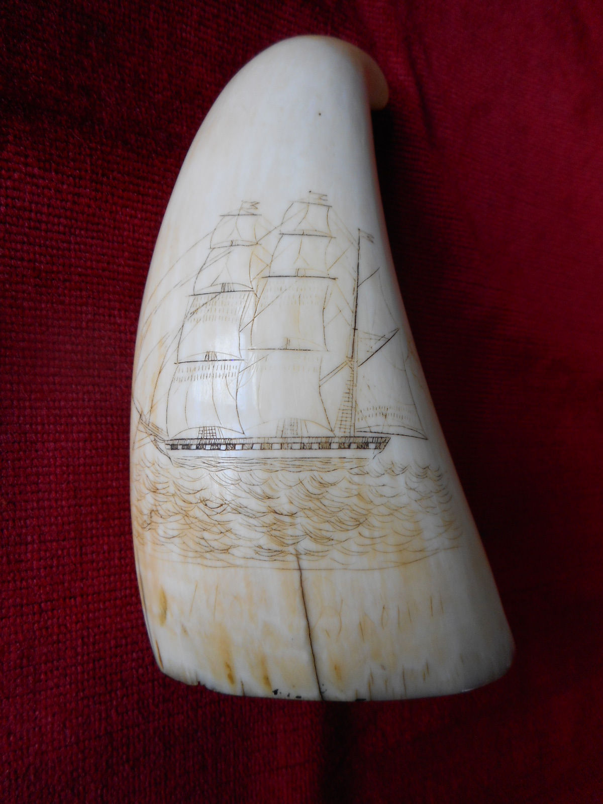 No.184 - Whaletooth of a 3 master