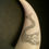 Thumbnail: No.55 - Small whale tooth depicting dolphins