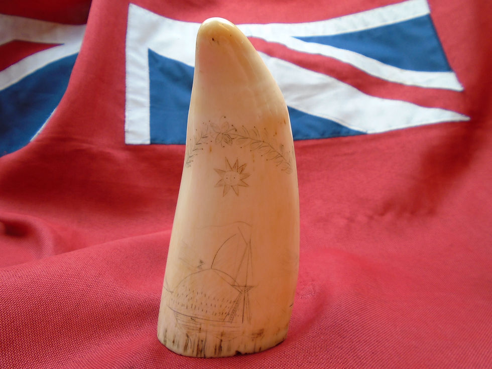 Thumbnail: No.417 - Whale tooth with colour