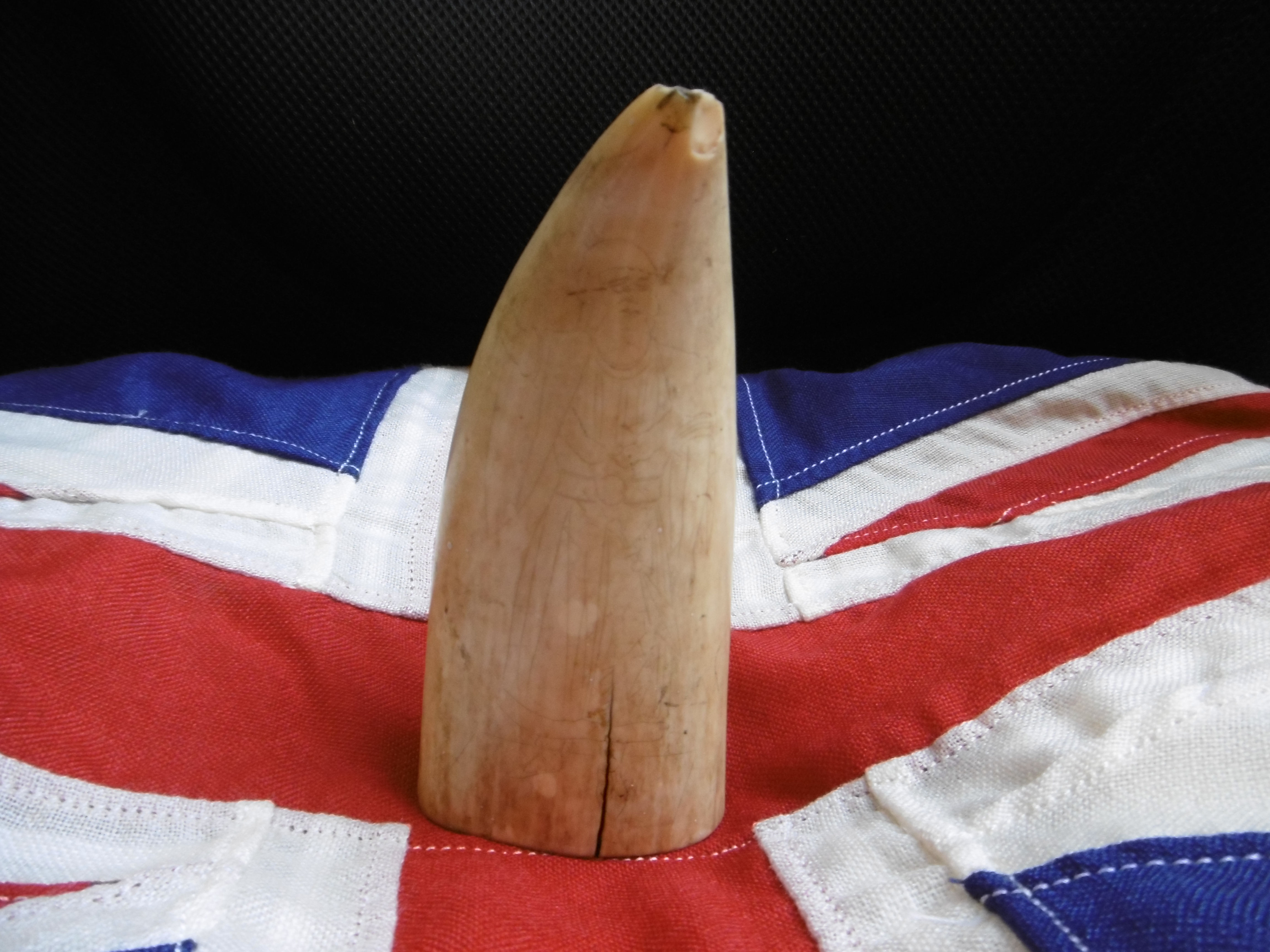 No.513 - Tooth depicting Male figure