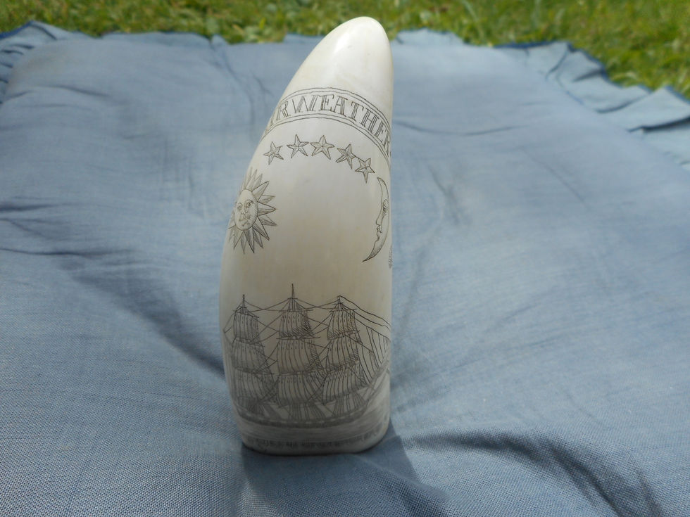 No. 302. Whaletooth - The Bark Fairweather