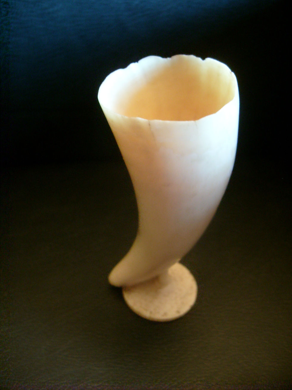 No.61 Whalebone rose holder