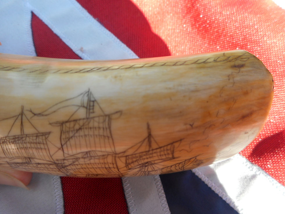 Thumbnail: No.398 - Whaletooth, Hull whaleship COMET