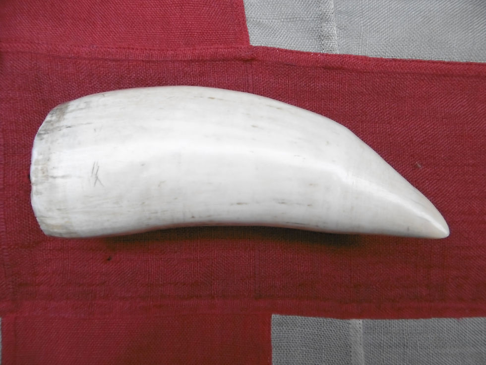 Thumbnail: No. 483 - Busy whaling tooth