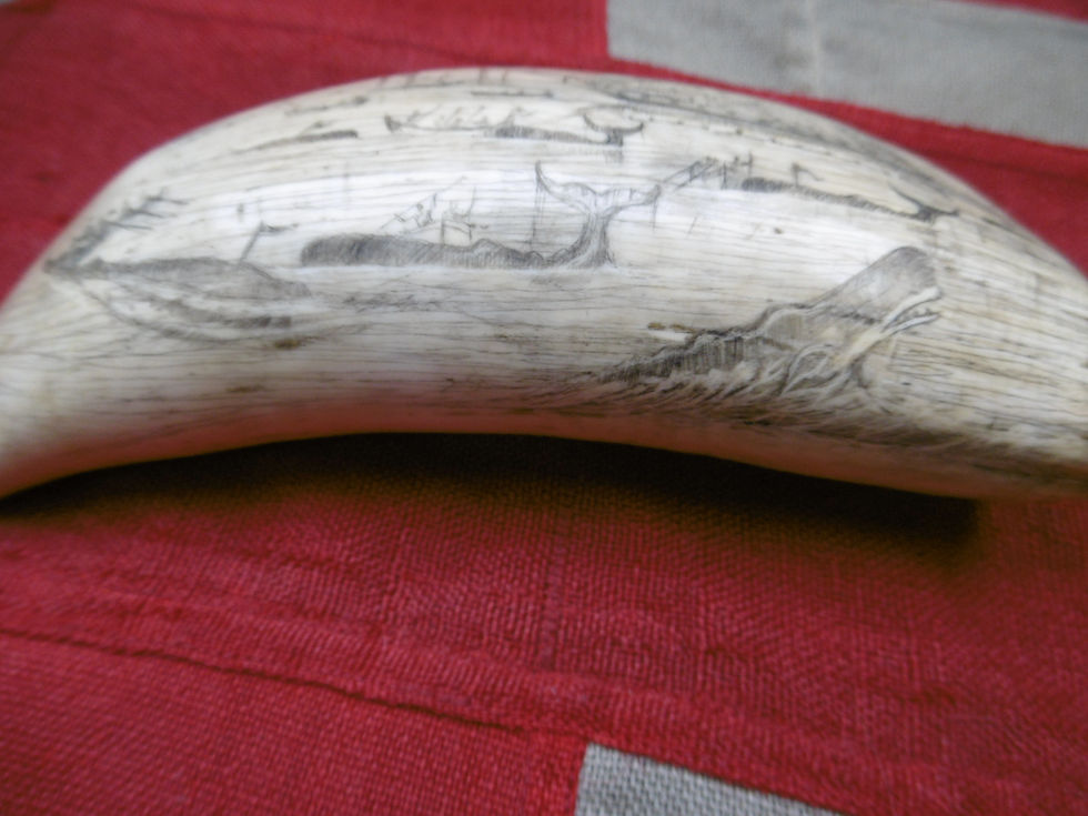 Thumbnail: No. 483 - Busy whaling tooth