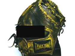 tamazawamitto5.gif
