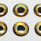 Thumbnail: Gator Eyez 