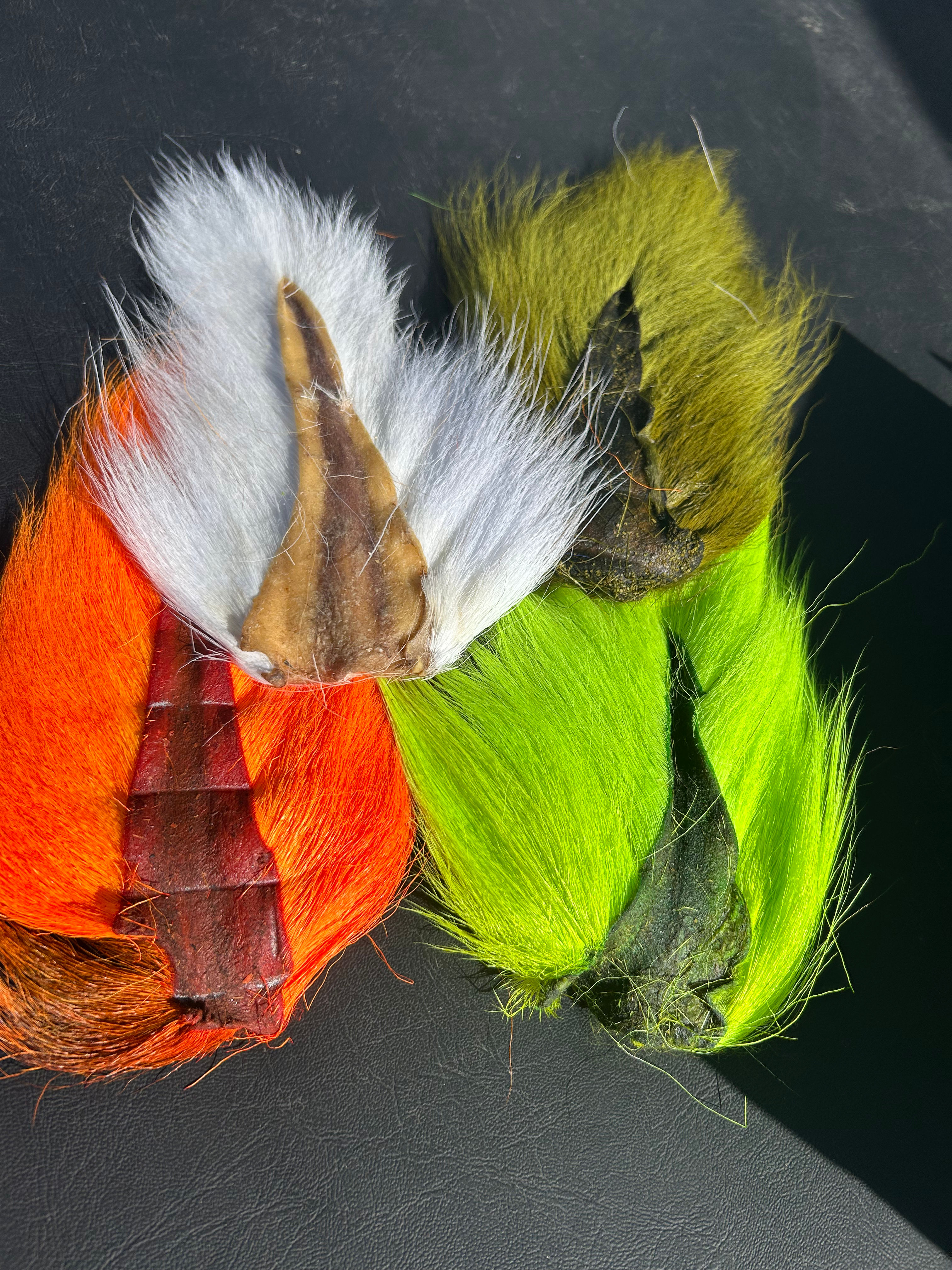 Predator Tails 