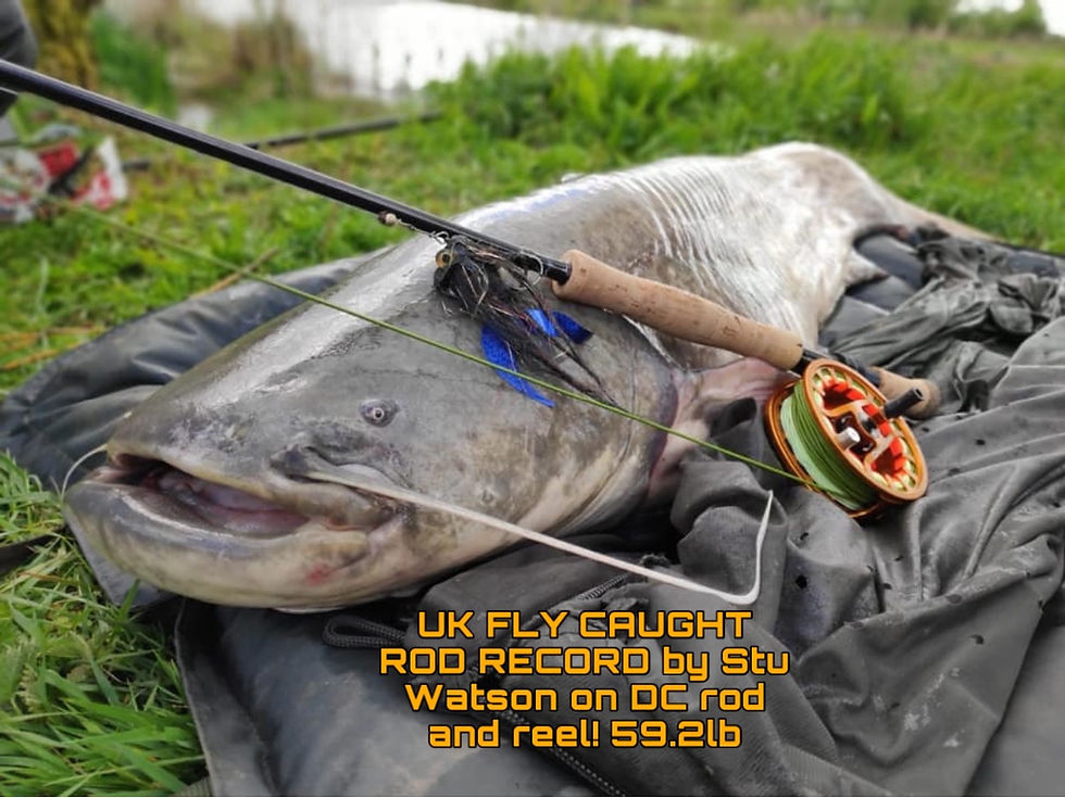 Thumbnail: Deer Creek 10wt predator rod 