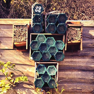 A_selection_of_bee_hotels_for_solitary_s