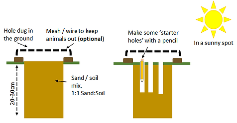 Sand square diagram.png