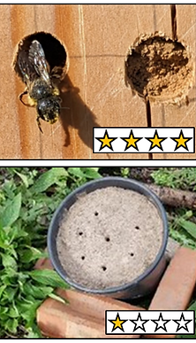 16 web thumbnail.png
