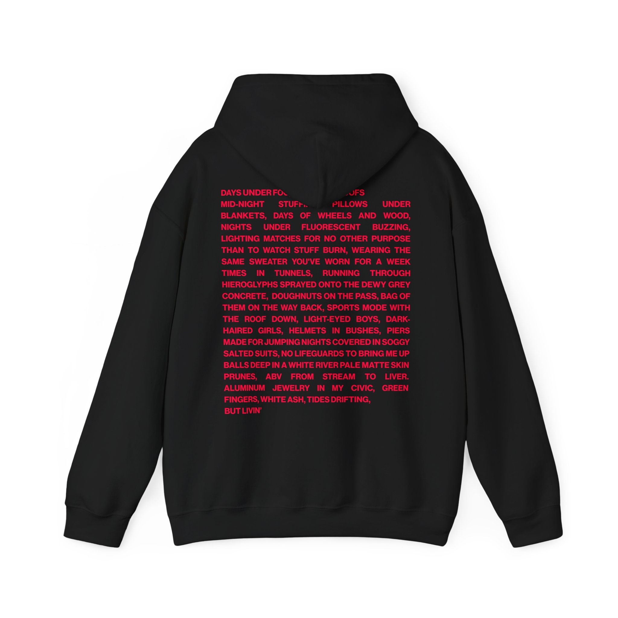 ODE TO ADOLESCENCE POEM HOODIE 