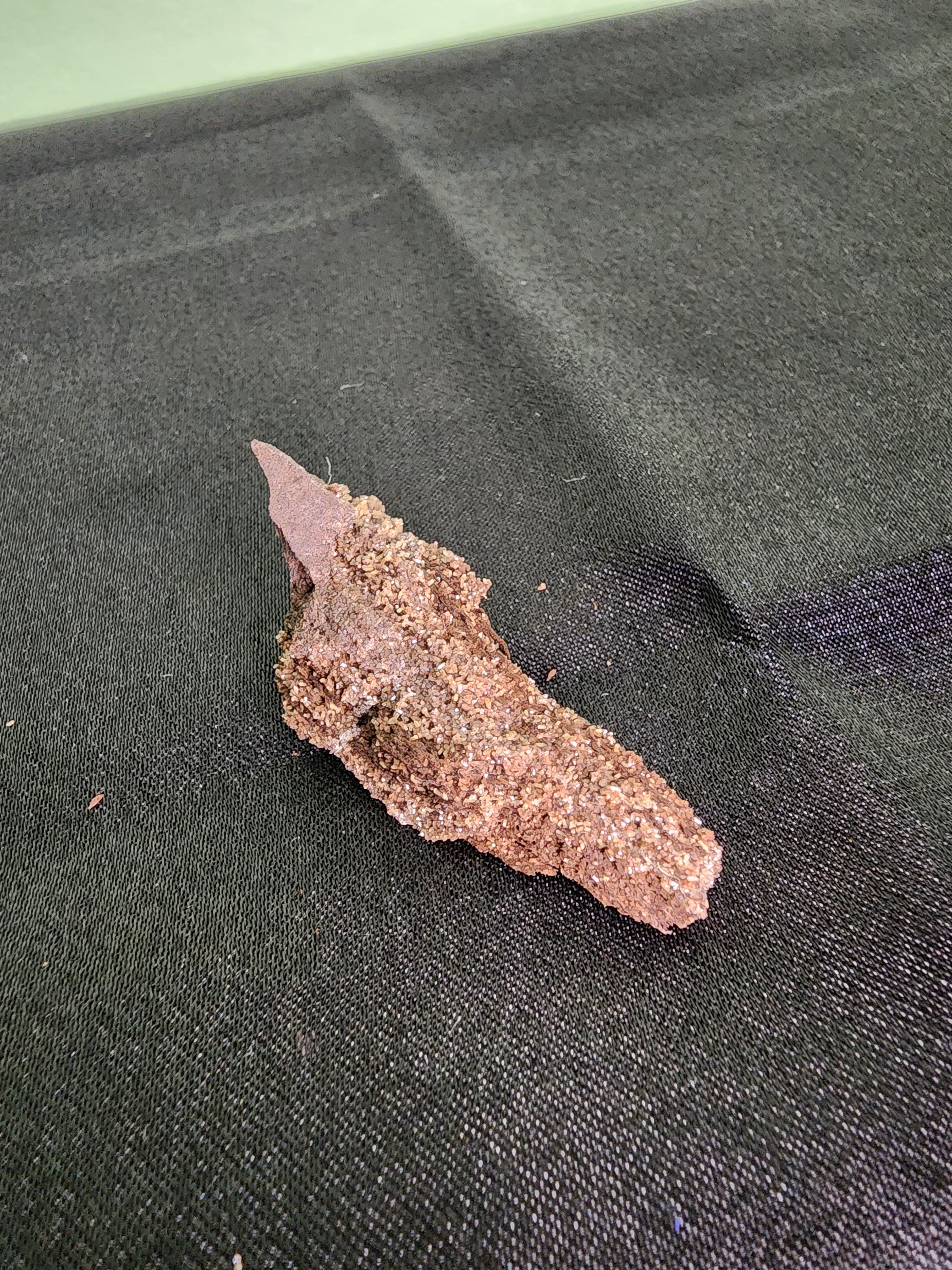 Permineralized Conifer Wood