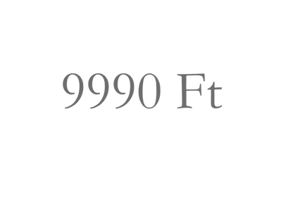 9990 Ft (2).png