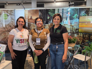 Belo Horizonte se torna centro mundial da espeleologia: 19º Congresso Internacional de Espeleologia