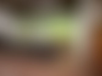 Tecnologia e Natureza: Encontro Institucional da WINDWERK na Gruta Rei do Mato