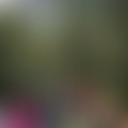 IV Circuito Ecológico na Mantiqueira promove conexão com a natureza